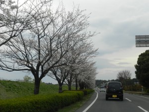Japan road side
